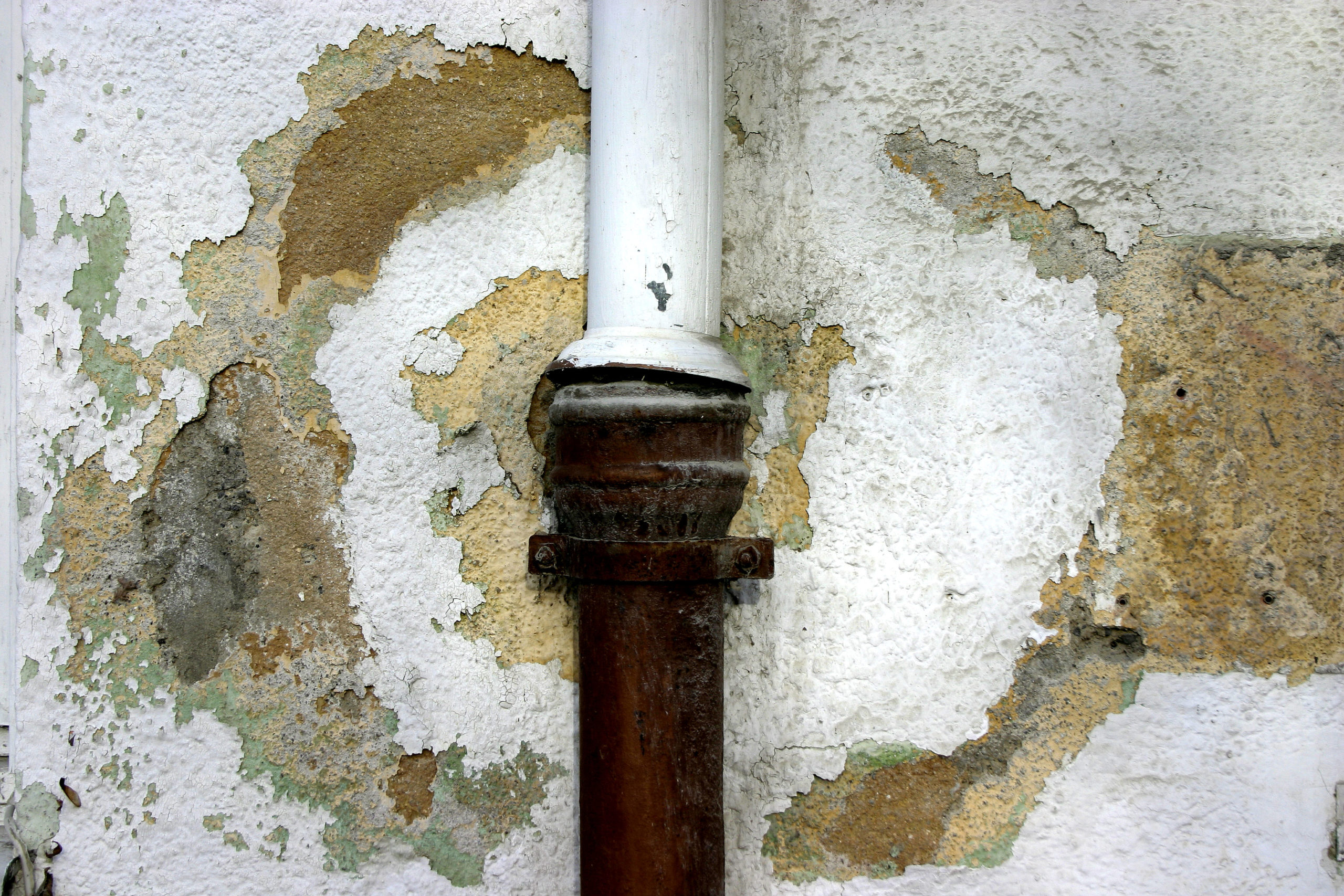 Water Damage Mold