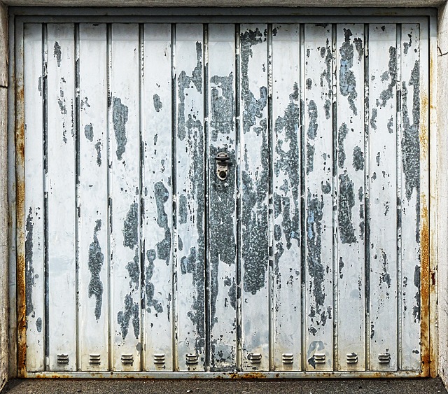 Garage Door Rust