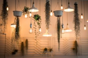 How to Hang Plants from Ceiling
